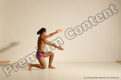 Elmer - Traditional Korean Art